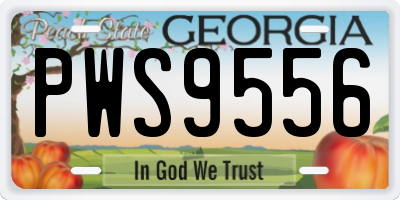 GA license plate PWS9556