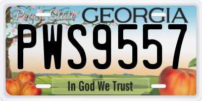 GA license plate PWS9557