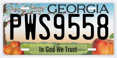 GA license plate PWS9558