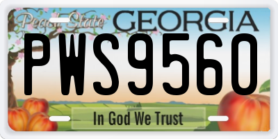 GA license plate PWS9560