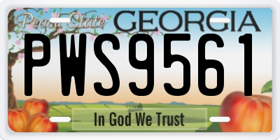 GA license plate PWS9561