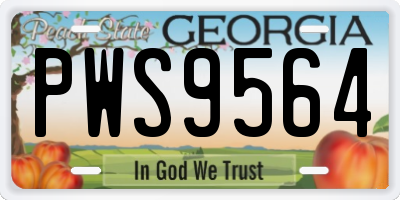 GA license plate PWS9564