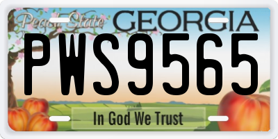 GA license plate PWS9565