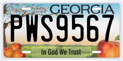 GA license plate PWS9567