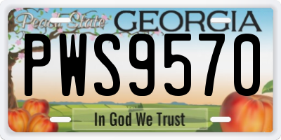 GA license plate PWS9570