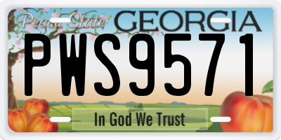 GA license plate PWS9571