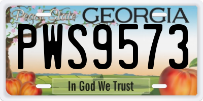 GA license plate PWS9573