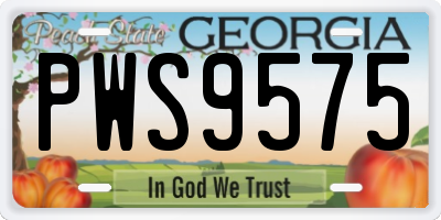 GA license plate PWS9575