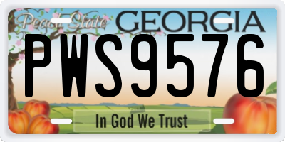 GA license plate PWS9576