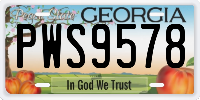 GA license plate PWS9578
