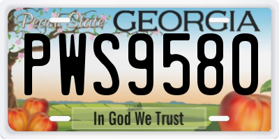GA license plate PWS9580