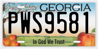 GA license plate PWS9581