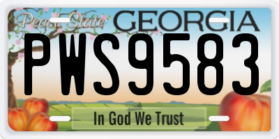 GA license plate PWS9583