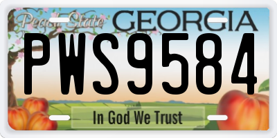 GA license plate PWS9584