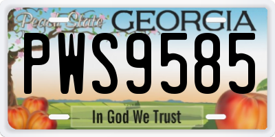 GA license plate PWS9585