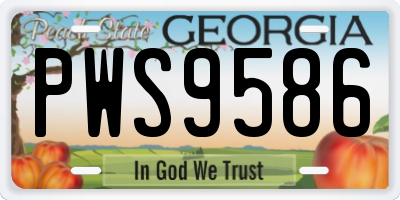 GA license plate PWS9586