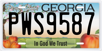 GA license plate PWS9587