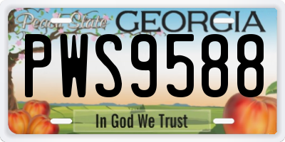 GA license plate PWS9588