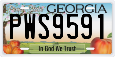 GA license plate PWS9591