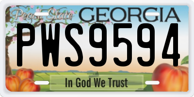 GA license plate PWS9594
