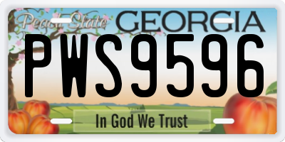 GA license plate PWS9596