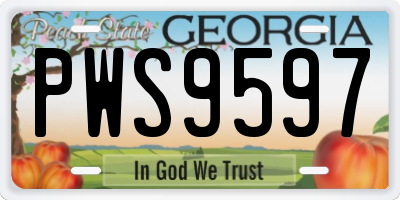 GA license plate PWS9597