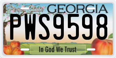 GA license plate PWS9598