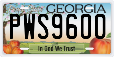 GA license plate PWS9600