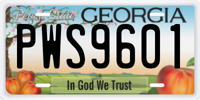 GA license plate PWS9601