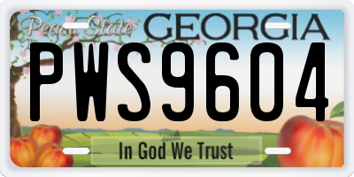 GA license plate PWS9604
