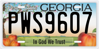 GA license plate PWS9607
