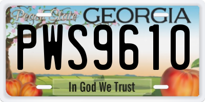 GA license plate PWS9610