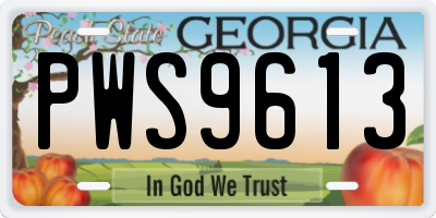 GA license plate PWS9613
