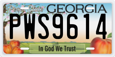 GA license plate PWS9614