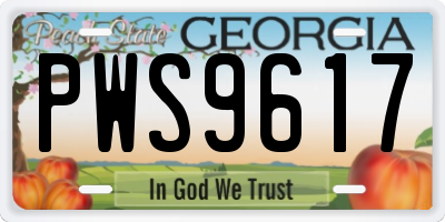 GA license plate PWS9617