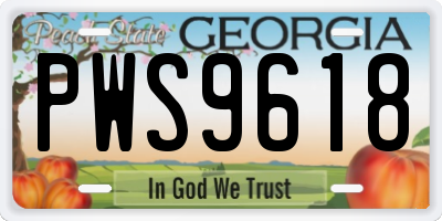 GA license plate PWS9618