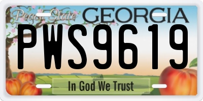 GA license plate PWS9619