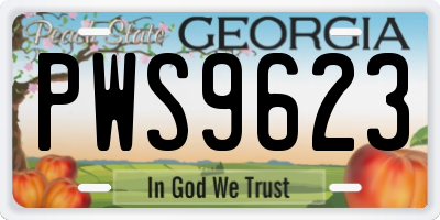 GA license plate PWS9623