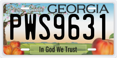 GA license plate PWS9631