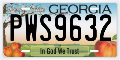 GA license plate PWS9632