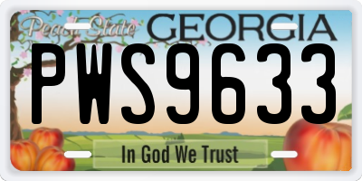 GA license plate PWS9633