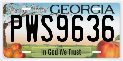 GA license plate PWS9636