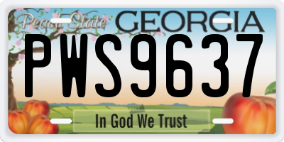 GA license plate PWS9637
