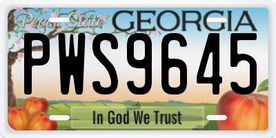 GA license plate PWS9645