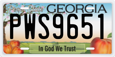 GA license plate PWS9651