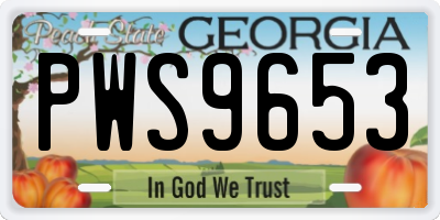 GA license plate PWS9653