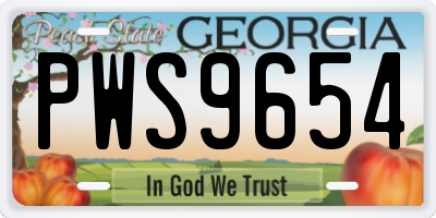 GA license plate PWS9654