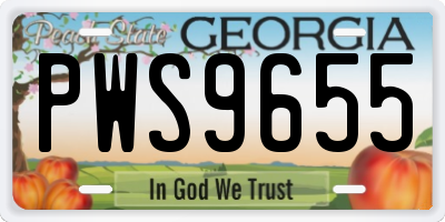 GA license plate PWS9655