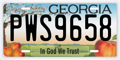 GA license plate PWS9658