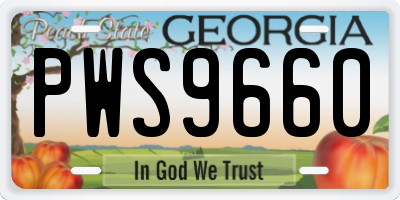 GA license plate PWS9660